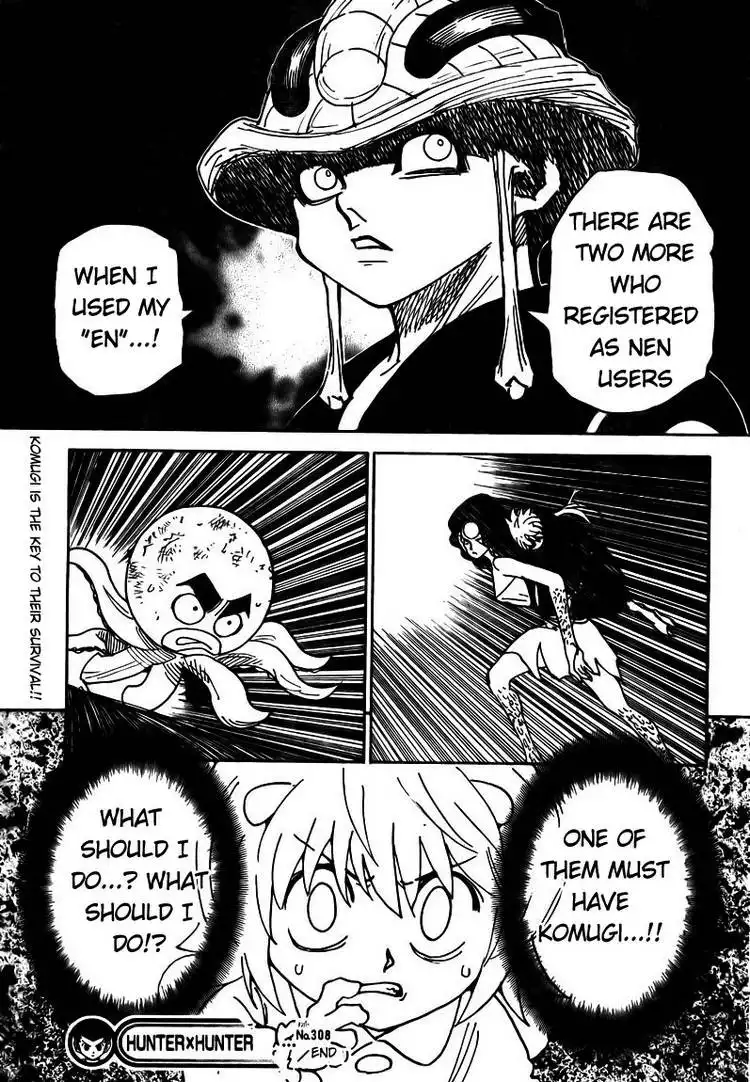 Hunter x Hunter Chapter 308 17